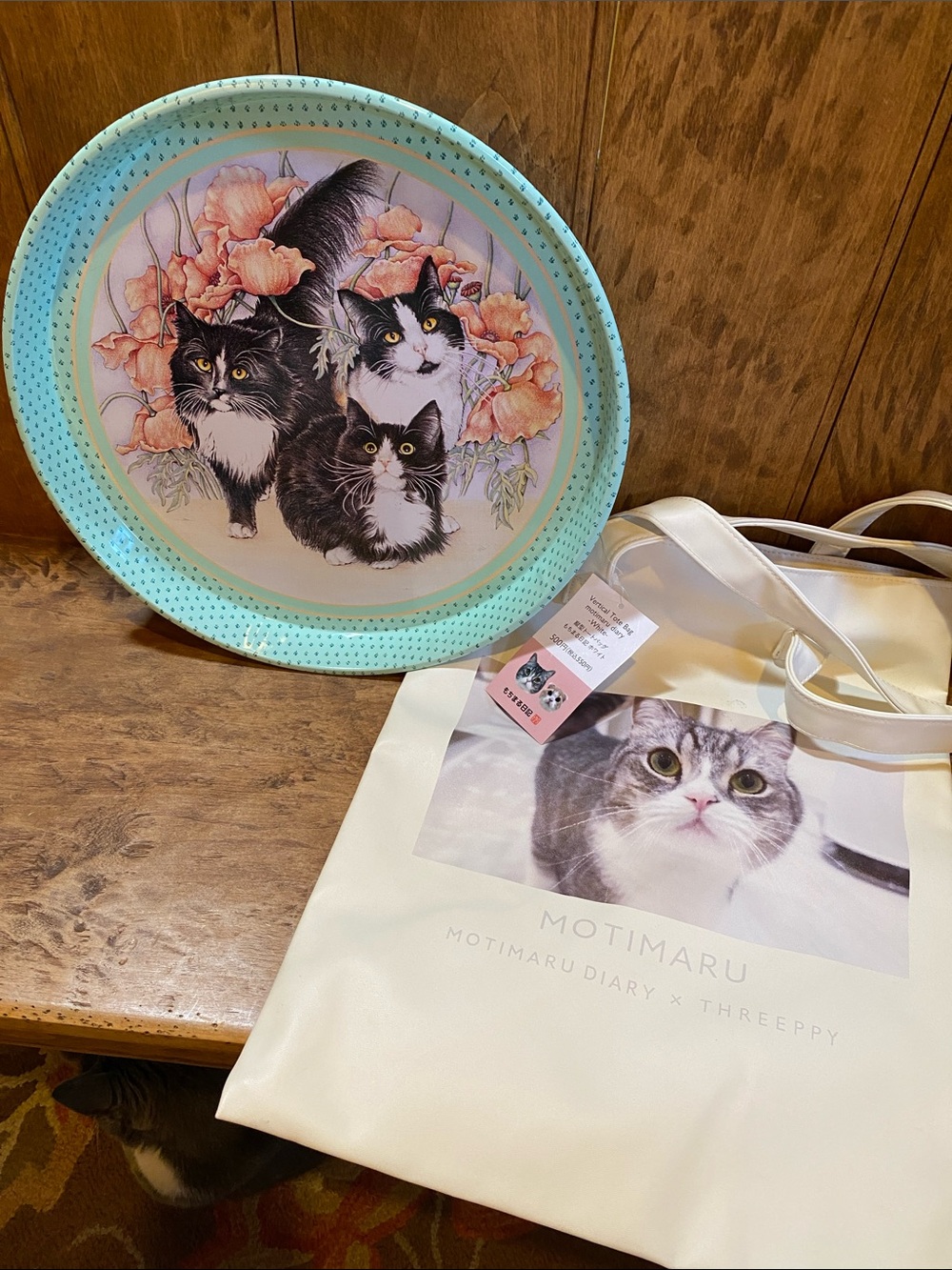 Kitty Bundle of Vinyl Tote & Tray